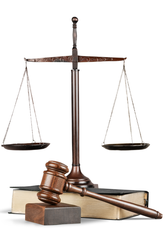 Tyagi 556 x 813 px 4